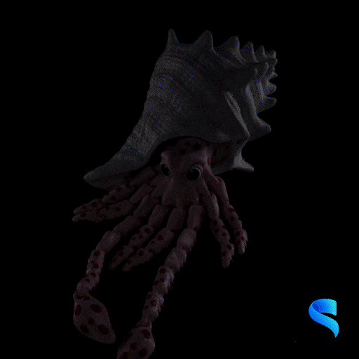 Sky, the Squid